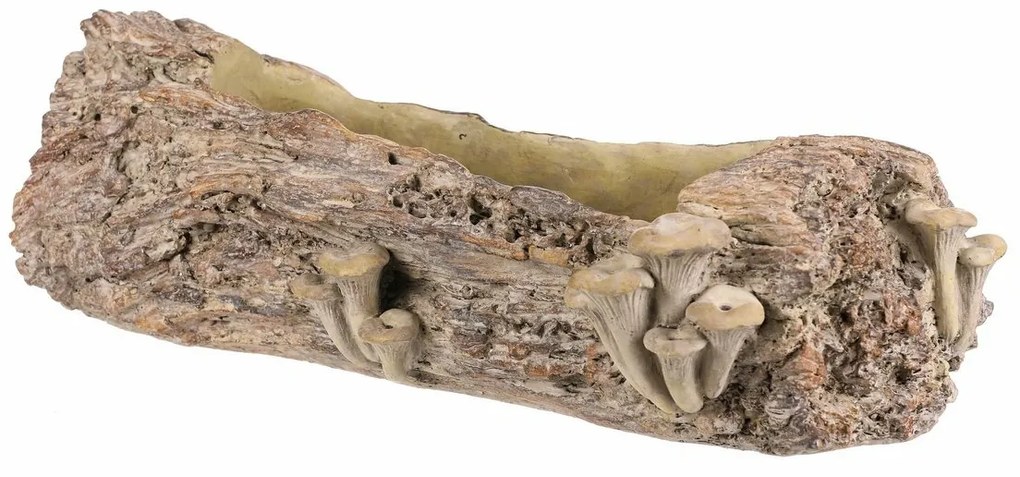 Opakowanie betonowe - skrzynka, drewno z grzybami,49 x 21 x 15 cm