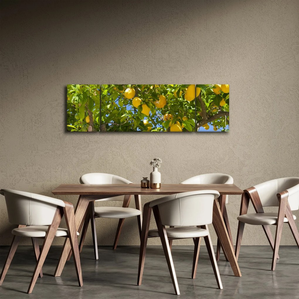 Obraz - Drzewo cytrynowe (170x50 cm)
