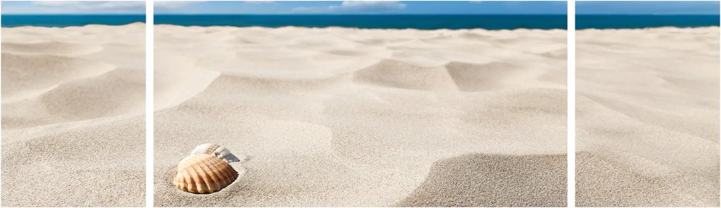 Obraz - Muszle na plaży (170x50 cm)