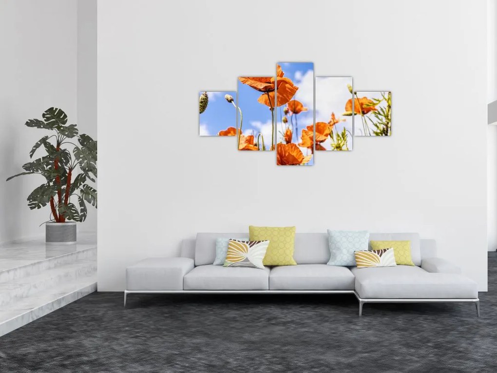 Obraz maków (125x70 cm)