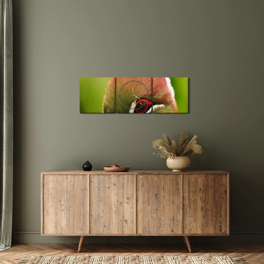 Obraz kolorowego ptaka (z zegarem) (90x30 cm)