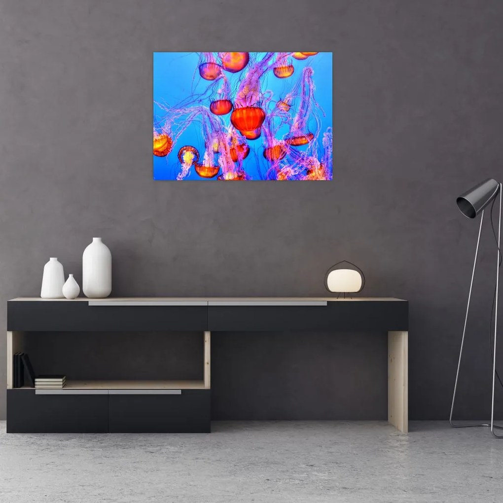 Obraz meduz w morzu (70x50 cm)