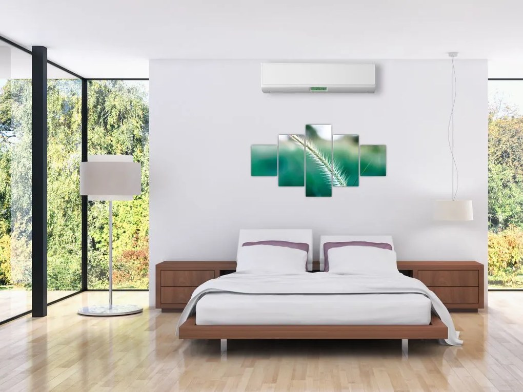 Obraz źdźbła trawy (125x70 cm)
