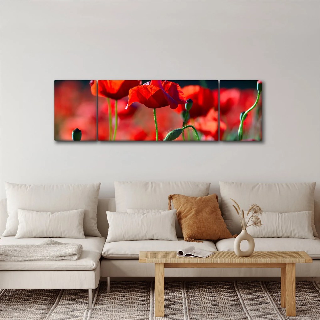 Obraz - maki (170x50 cm)
