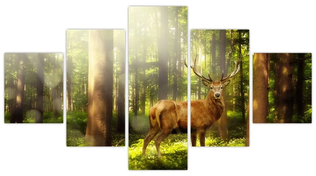Obraz jelenia w lesie (125x70 cm)