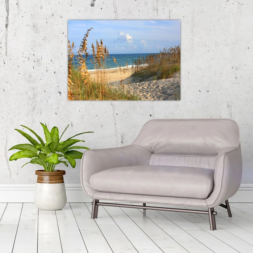 Obraz - Plaża (70x50 cm)