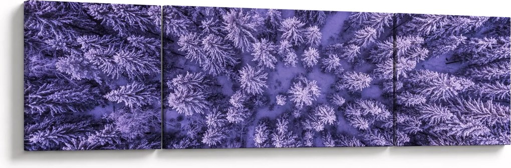 Obraz ośnieżonych drzew (170x50 cm)