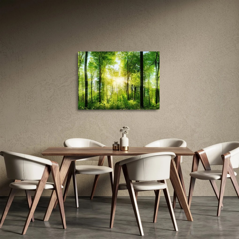 Obraz na szkle - Świt w lesie (70x50 cm)