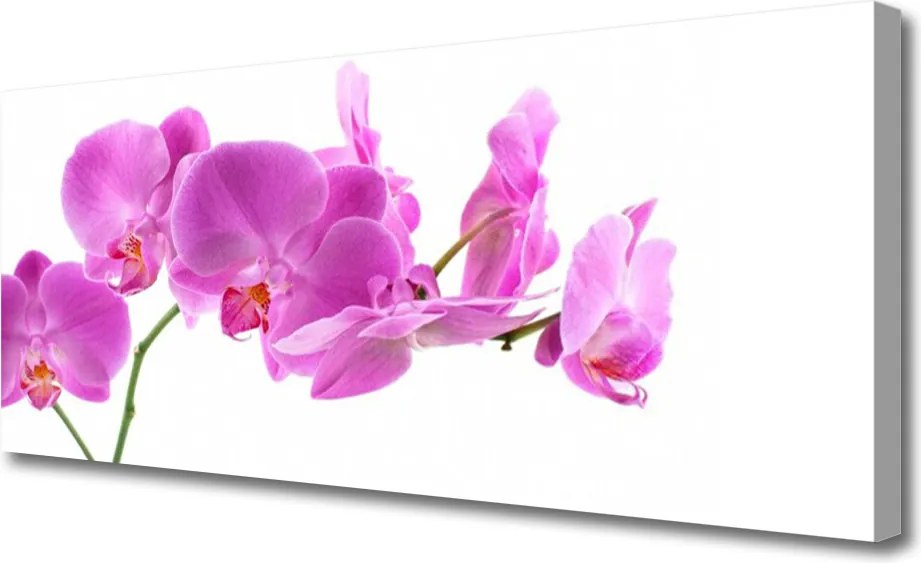 Obraz na płótnie Ogród Kwiatowy w Pełni Lata