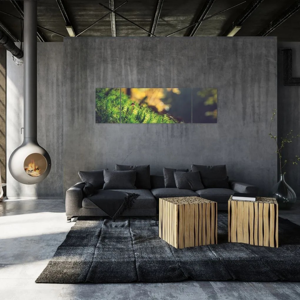 Obraz mchu z grzybem (170x50 cm)