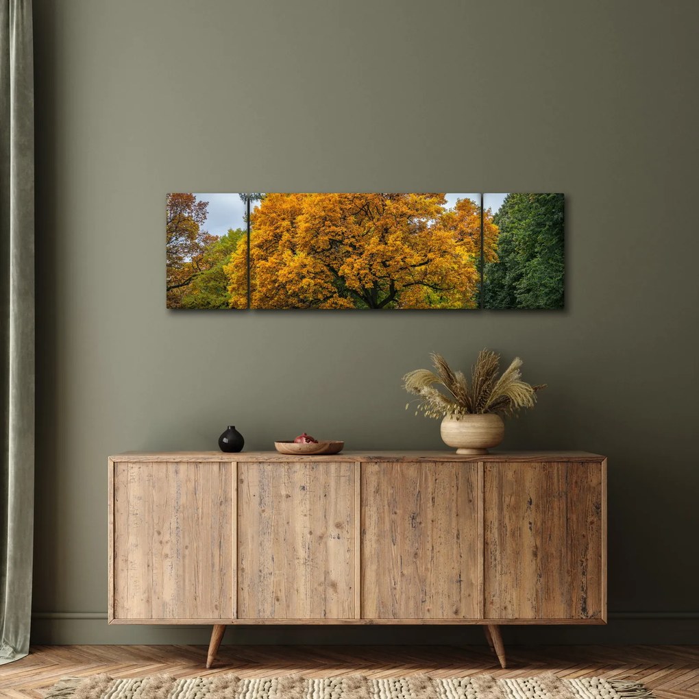 Obraz drzewa (170x50 cm)