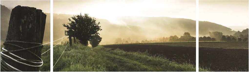 Obraz łąki (170x50 cm)