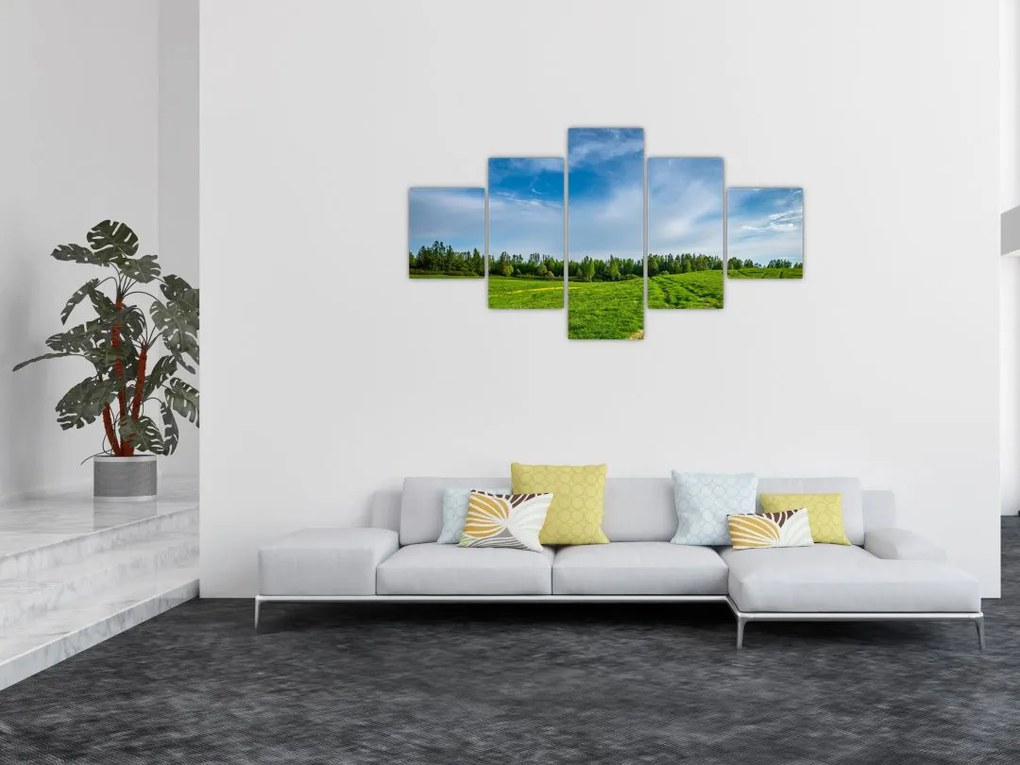 Obraz łąki (125x70 cm)