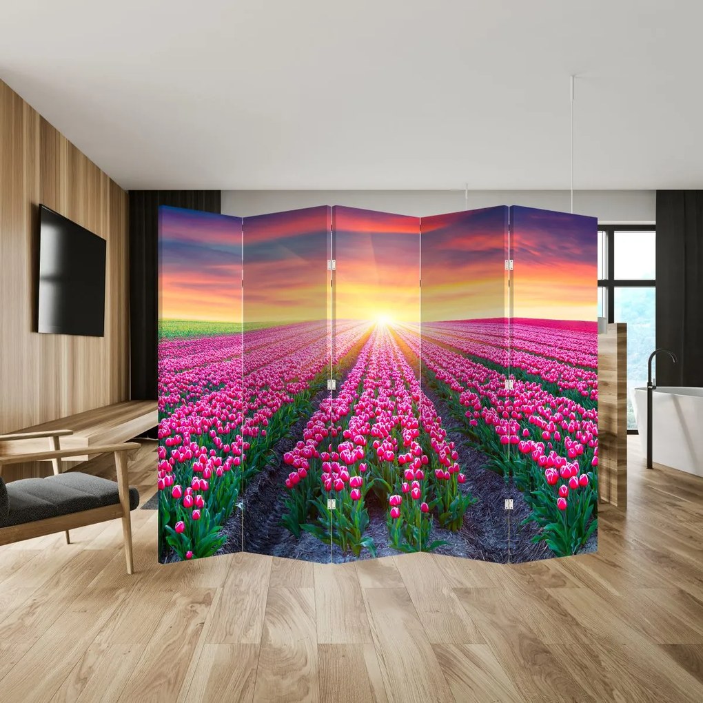 Parawan - Pole tulipanów ze Słońcem (210x170 cm)