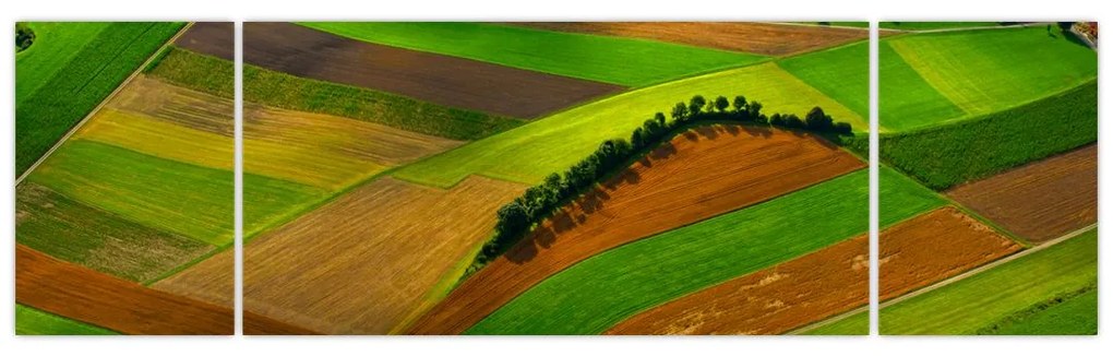 Obraz - Pola, łąki (170x50 cm)