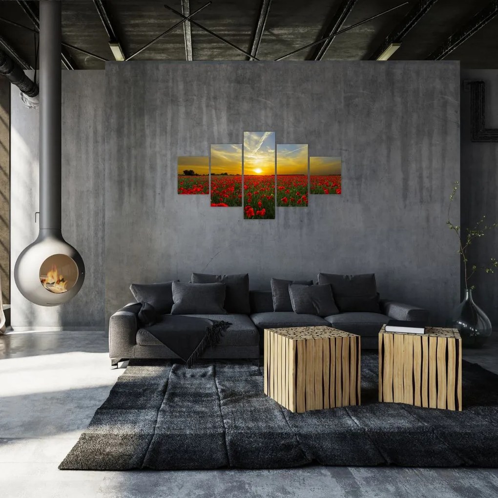 Obraz pola maków (125x70 cm)