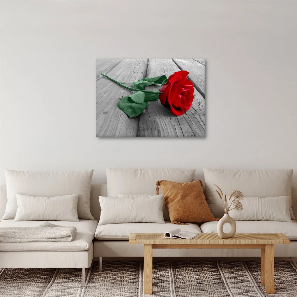 Obraz - Czerwona róża z zieloną łodygą (70x50 cm)