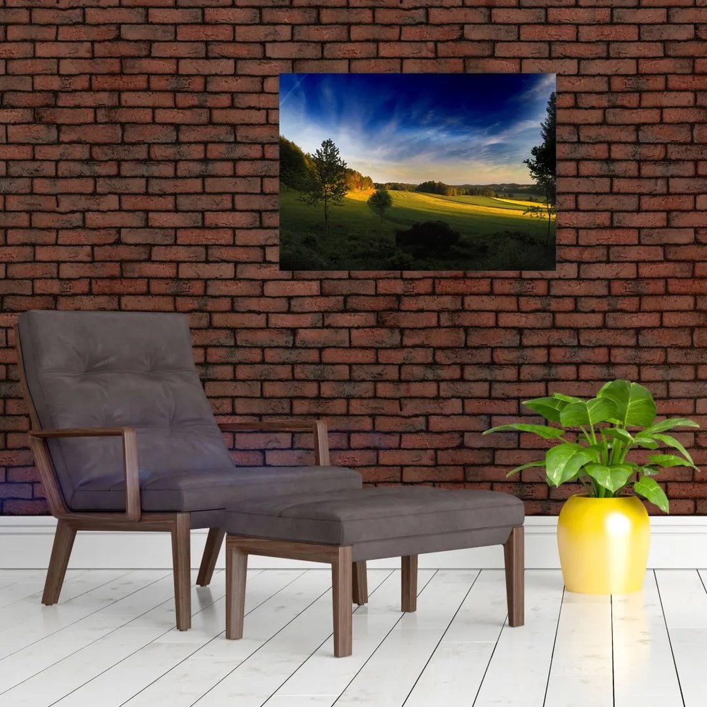 Obraz - Górska łąka (70x50 cm)