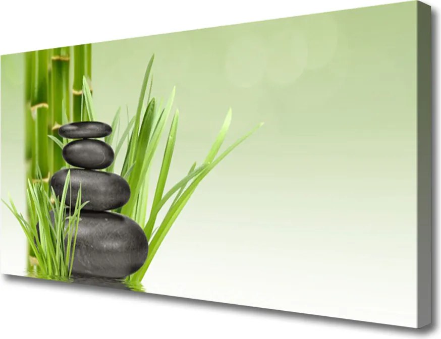 Obraz canvas Świeżość Zielonego Bambusa