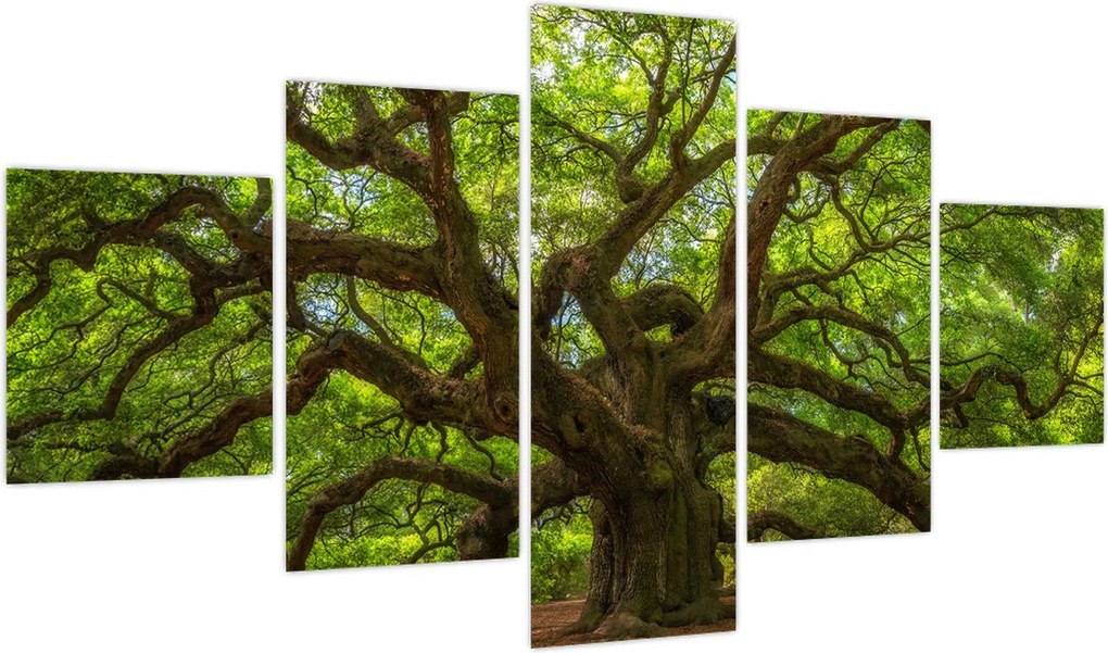 Obraz - Zielone drzewo (125x70 cm)
