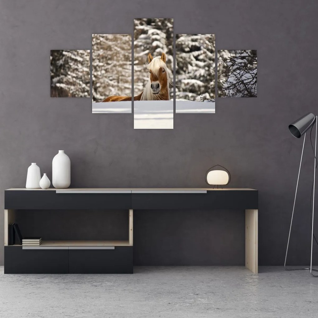 Obraz - Koń w zimowym krajobrazie (125x70 cm)