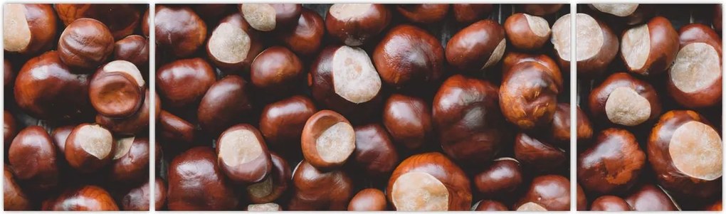 Obraz - Dojrzałe kasztany (170x50 cm)