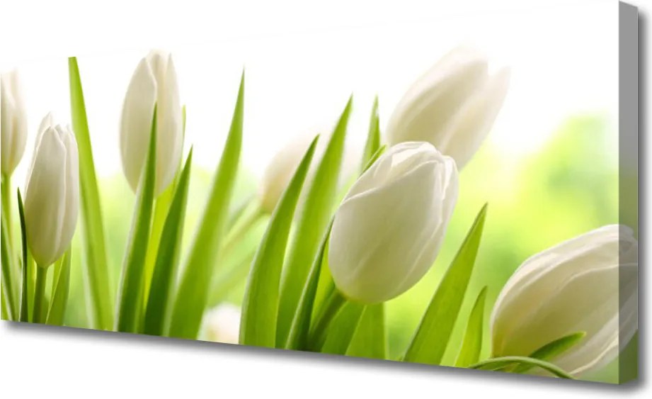 Obraz canvas na ścianę Tęczowy Dywan Tulipanów