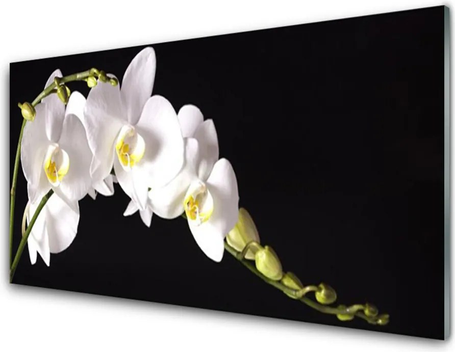 Panel Kuchenny Urokliwa Flora Ogrodowa