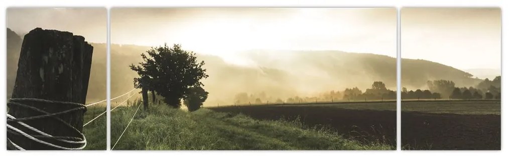Obraz łąki (170x50 cm)