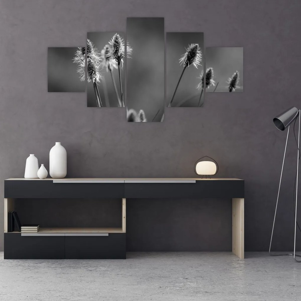 Obraz - Beżowa miękka trawa N⁰2 (125x70 cm)