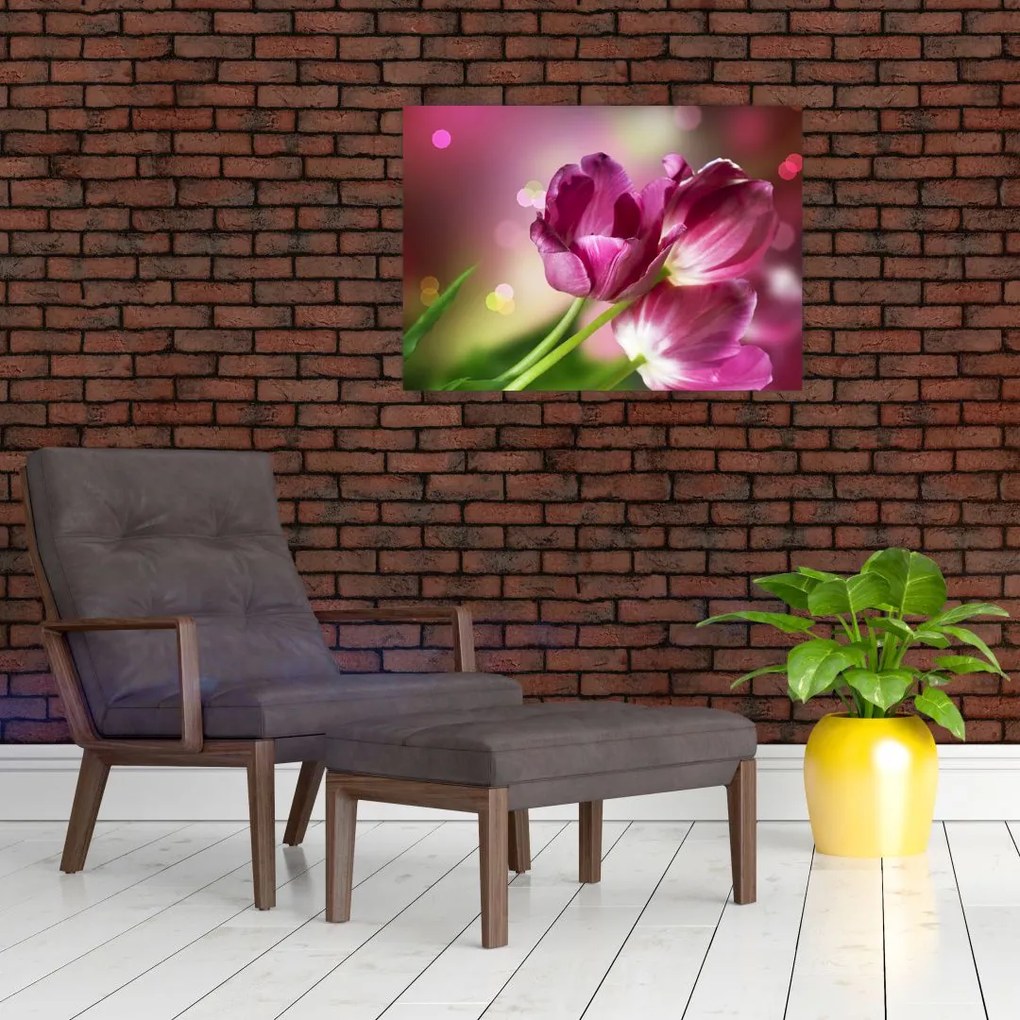 Obraz różowych tulipanów (70x50 cm)
