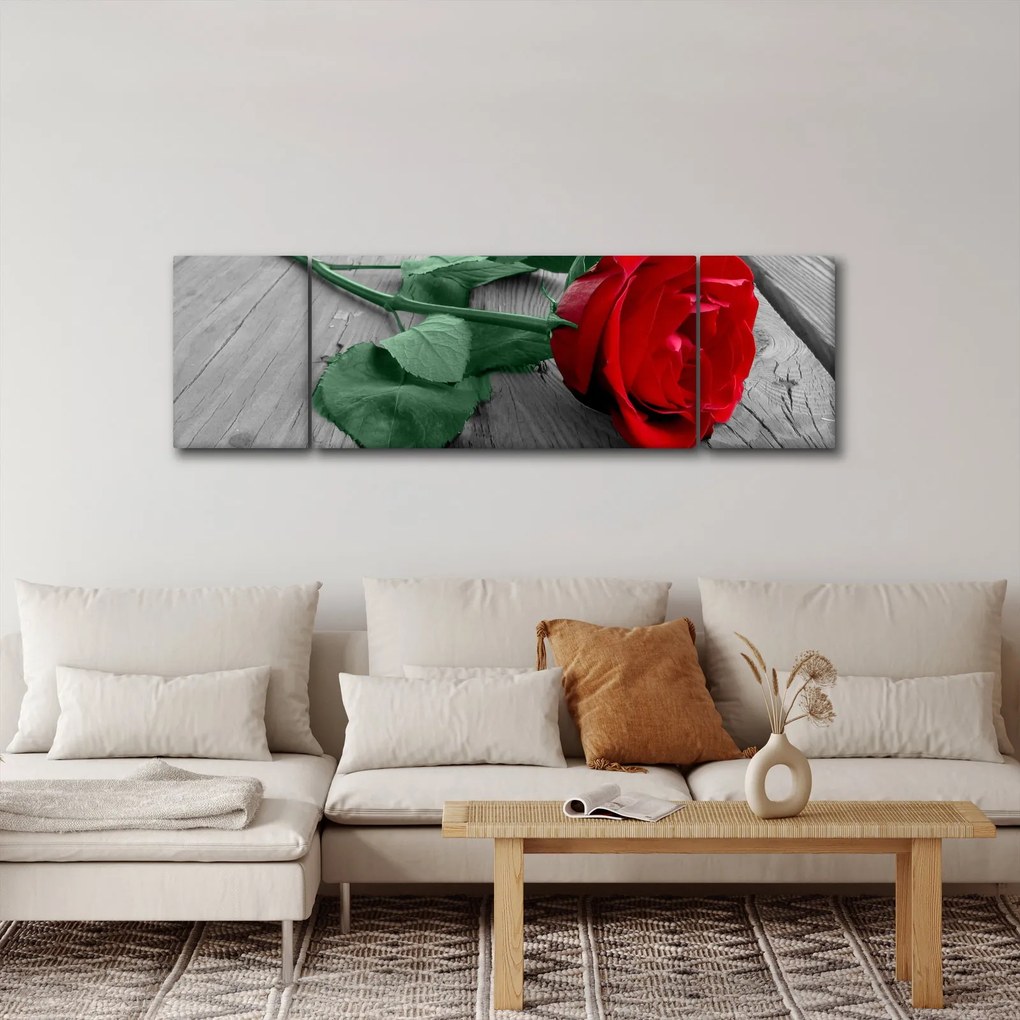 Obraz - Czerwona róża z zieloną łodygą (170x50 cm)