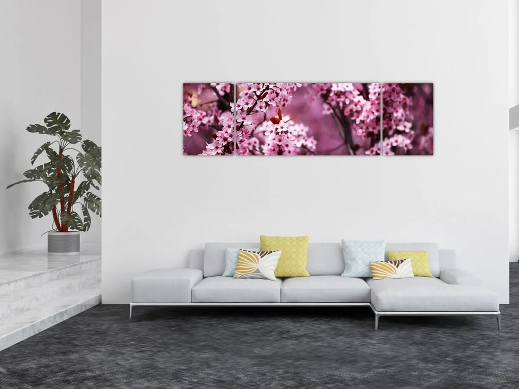 Obraz - Różowa sakura (170x50 cm)