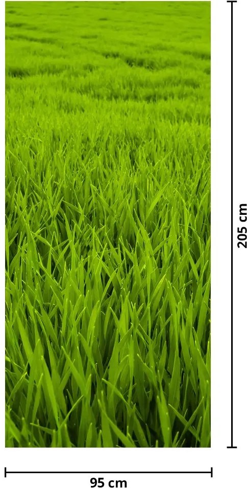 Fototapeta na drzwi - Trawa (95x205cm)
