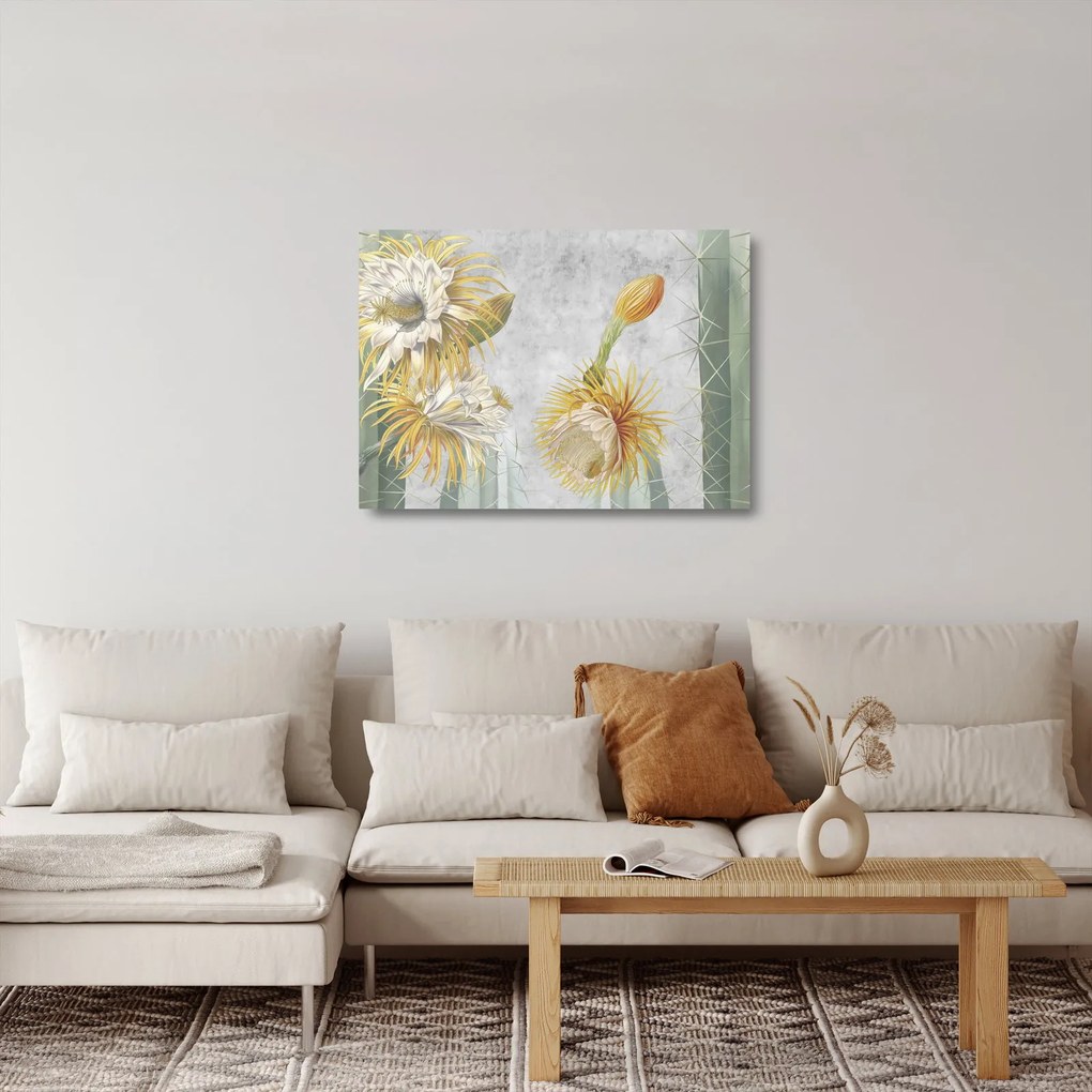 Obraz na szkle - Kwitnące kaktusy (70x50 cm)