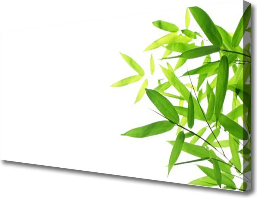 Obraz canvas na ścianę Tekstura Zielonego Liścia