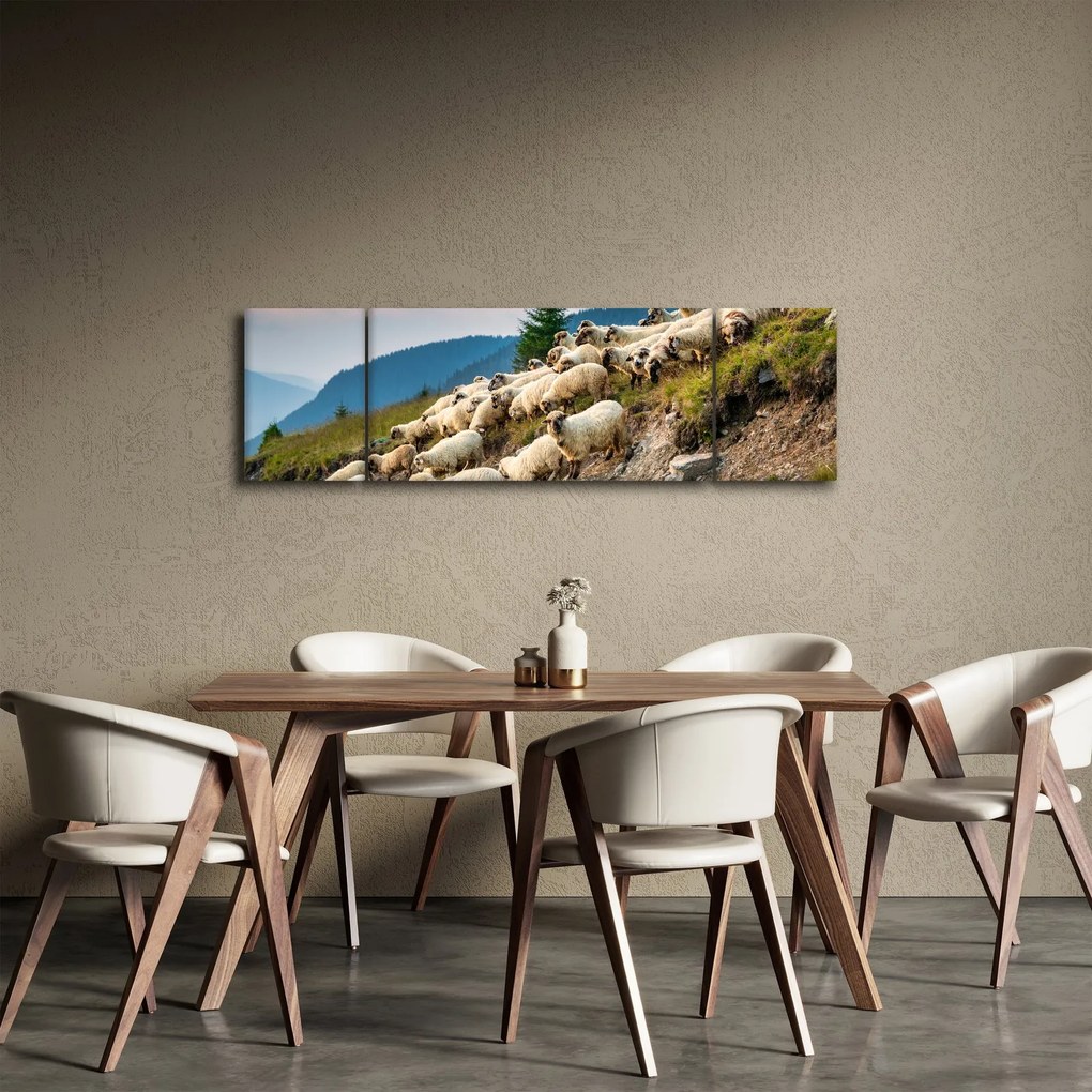 Obraz - Stado owiec (170x50 cm)