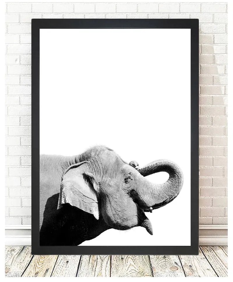 Obraz 24x29 cm Damarion Elephant – Vavien Artwork