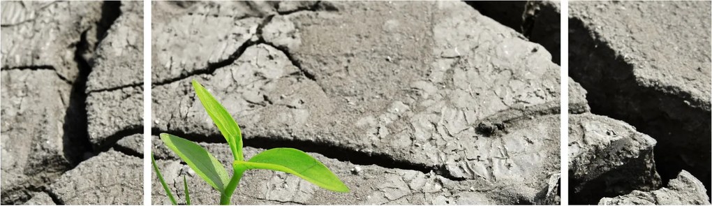 Obraz - Pęknięcia (170x50 cm)