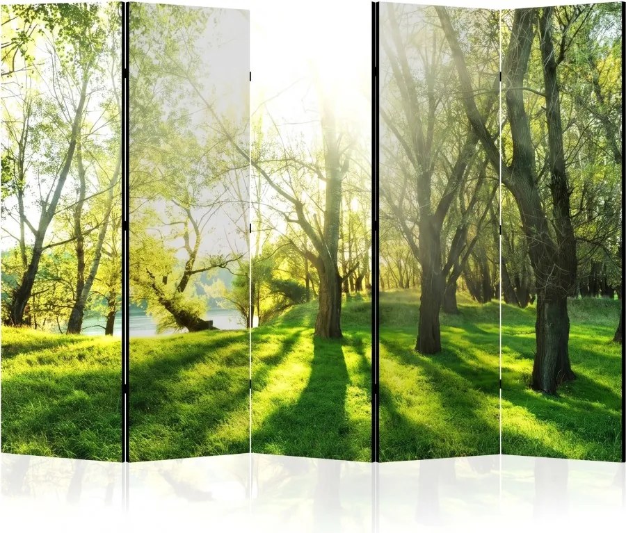 Parawan pokojowy 5-częściowy 225x172 Dwustronny dekoracyjny naturalistyczny Wiosenny Poranek W Lesie