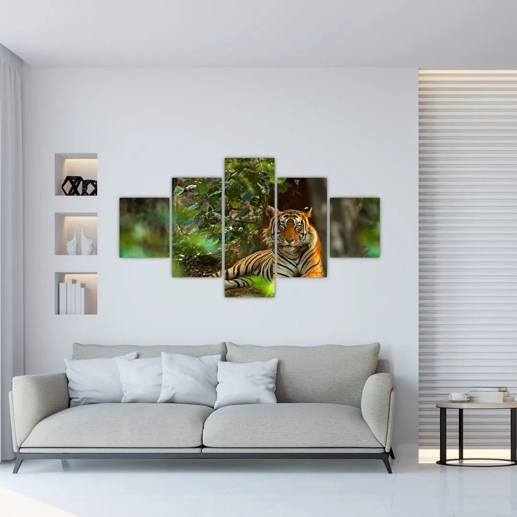 Obraz odpoczywającego tygrysa (125x70 cm)