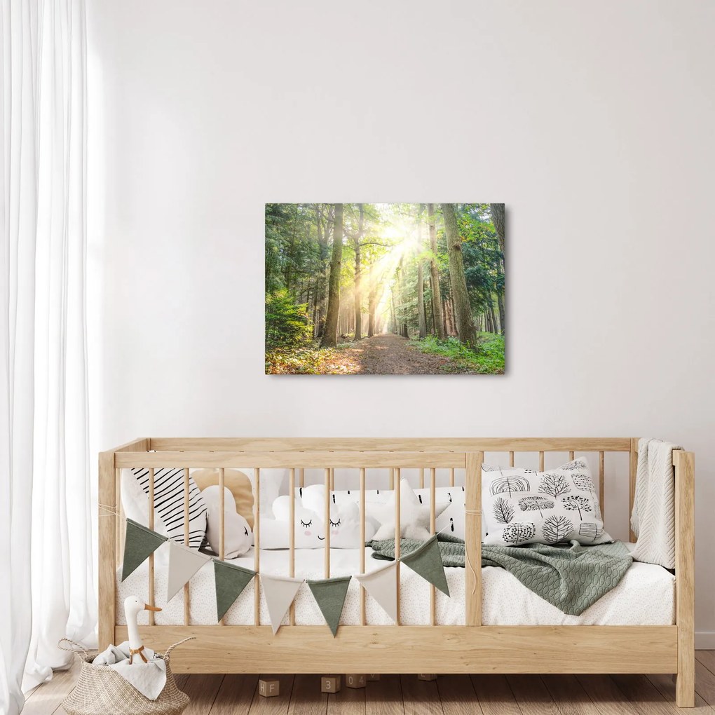Obraz ścieżki w lesie (70x50 cm)