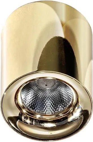 Azzardo AZ2846 - LED lampa sufitowa MANE LED/10W/230V