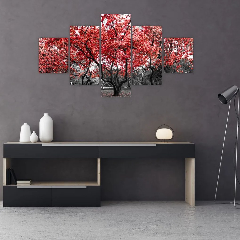 Obraz - Czerwone drzewa, Central Park, New York (125x70 cm)
