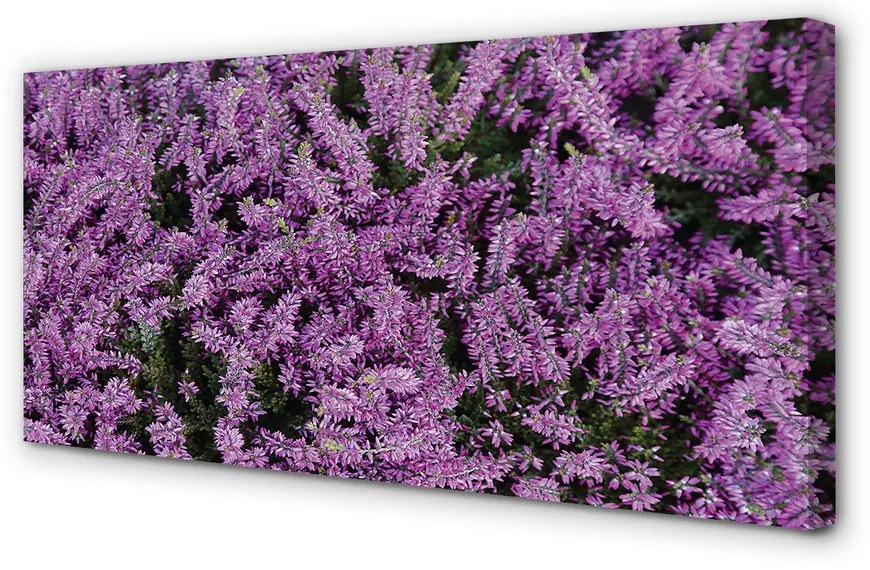 Fotoobraz na płótnie Fioletowe Kwiaty