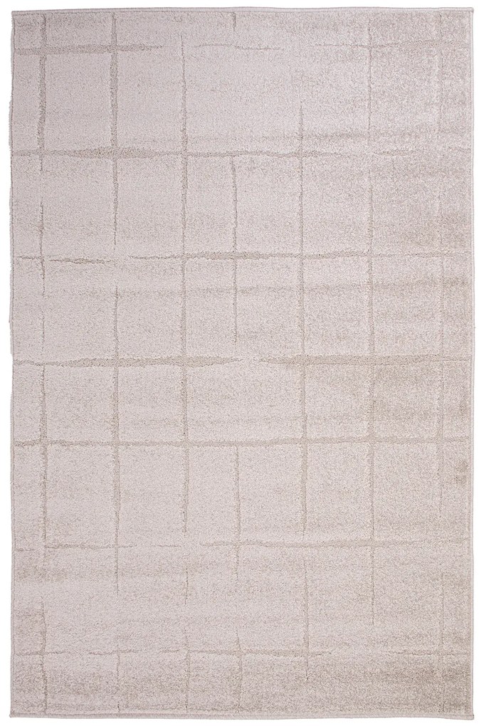 Dywan Elena Nowoczesny dywan FR2541 160x230 Prostokąt