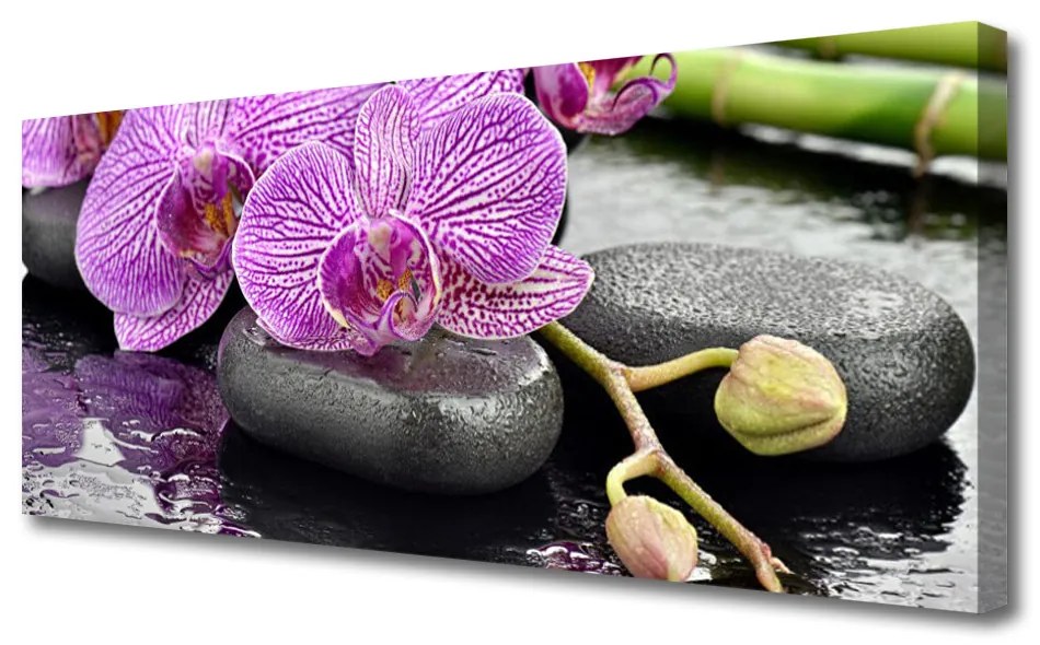 Obraz Canvas Storczyk Zen Orchidea Spa