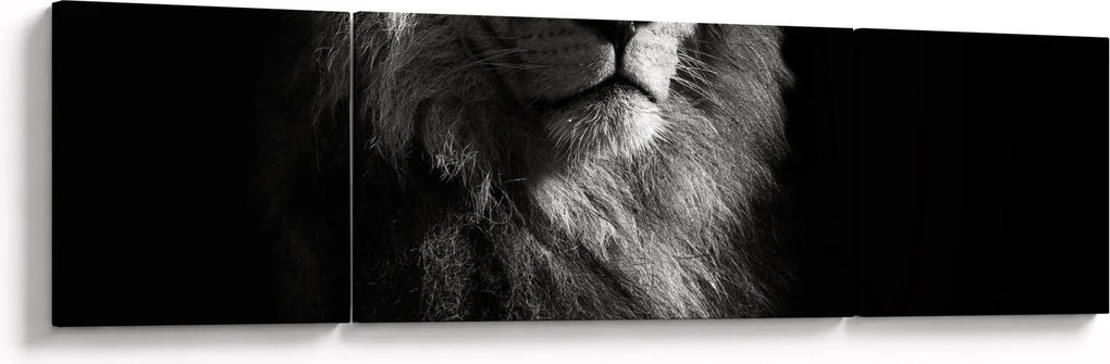 Obraz - Lew (170x50 cm)
