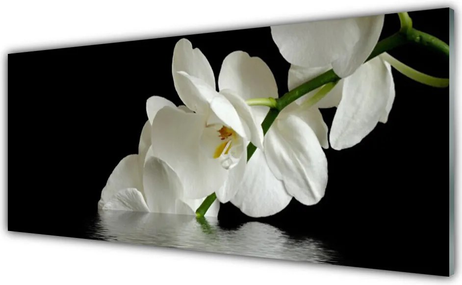 Panel nad blat kuchenny Orchidea Zanurzona w Wodzie