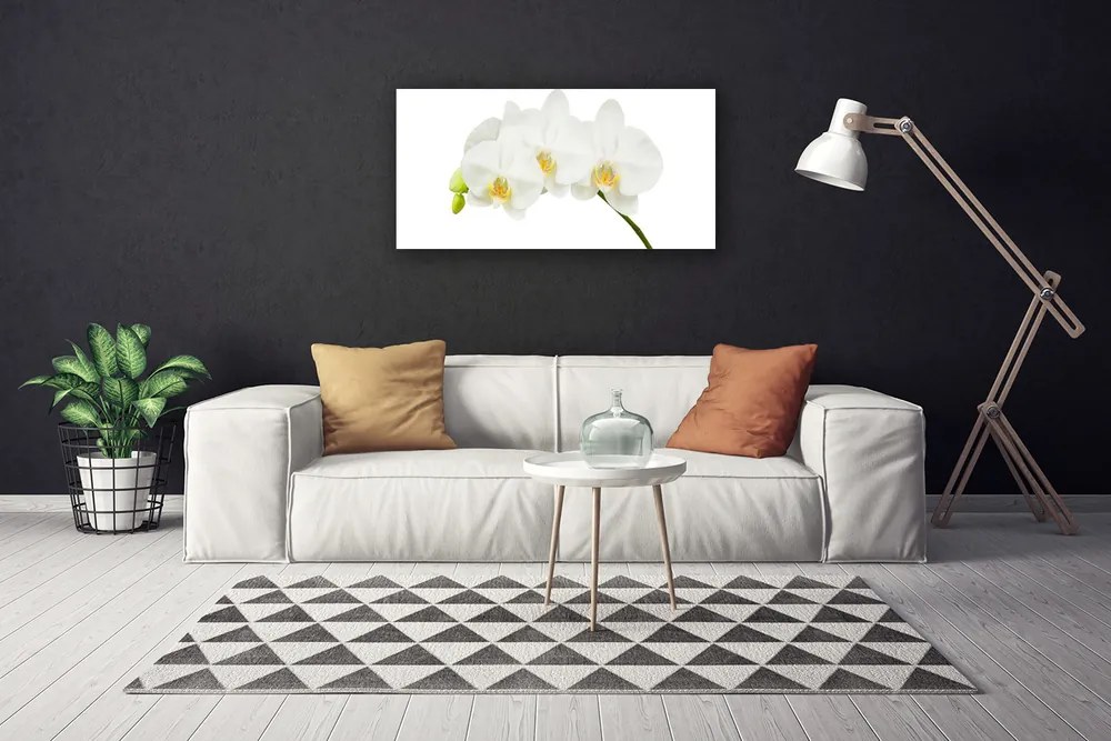Obraz Canvas Storczyk Pędy Kwiaty Natura